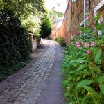 Chemin de randonnée